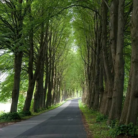 Grosses Rosenhuus 別荘